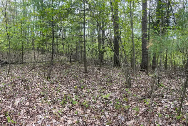 $59,900 | Lt43 Menominee Woods Drive, Wausaukee, WI 54177