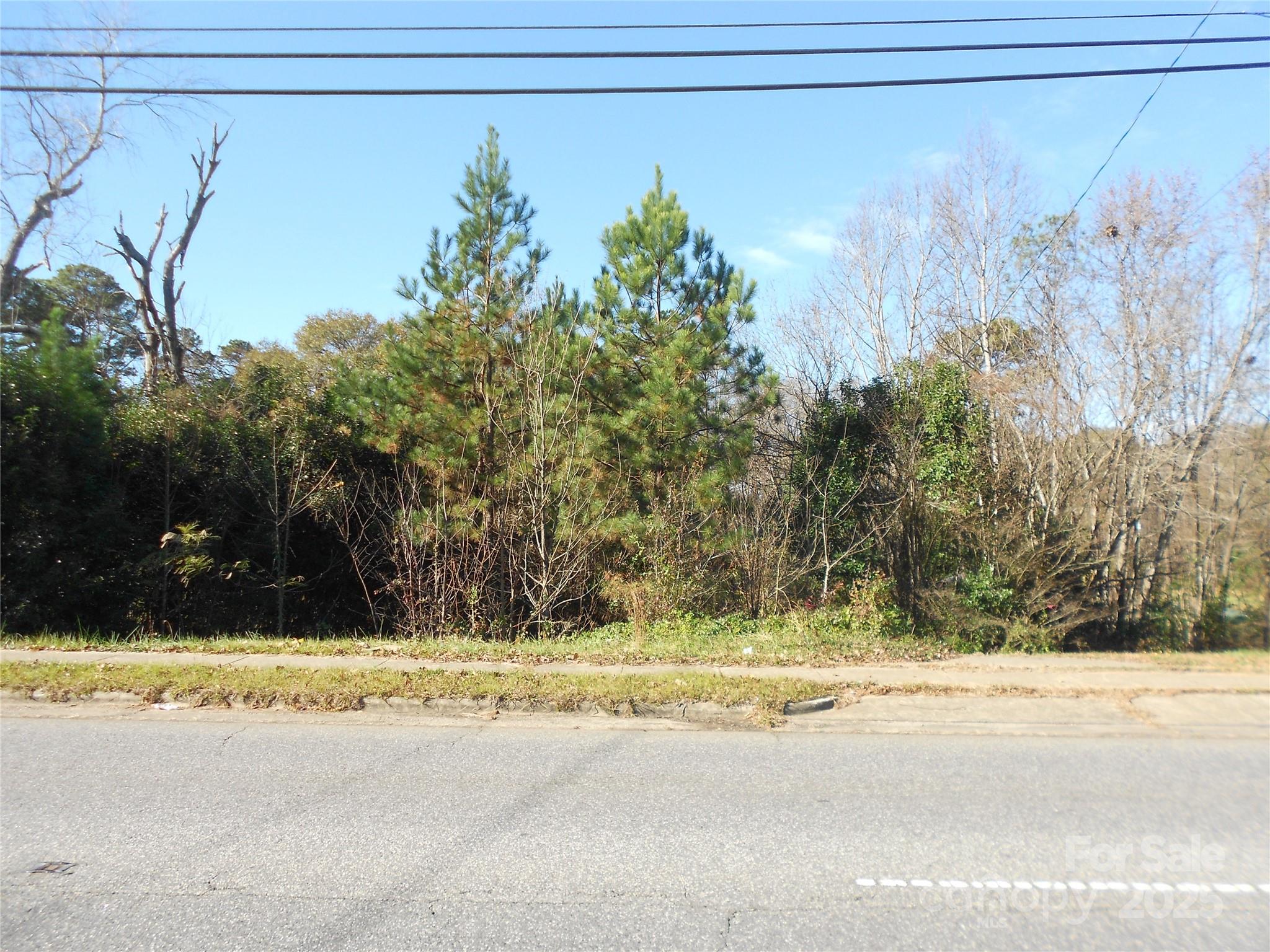 1009 North New Hope Road Gastonia, NC 28054 - Photo 3 of 7 a view of a terrace with a yard