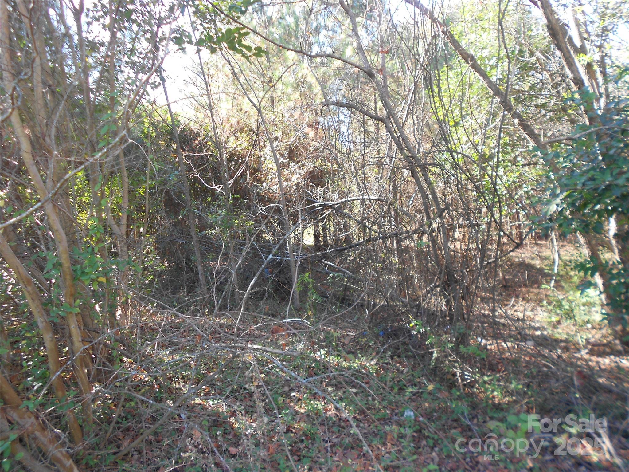 1009 North New Hope Road Gastonia, NC 28054 - Photo 6 of 7 a view of forest