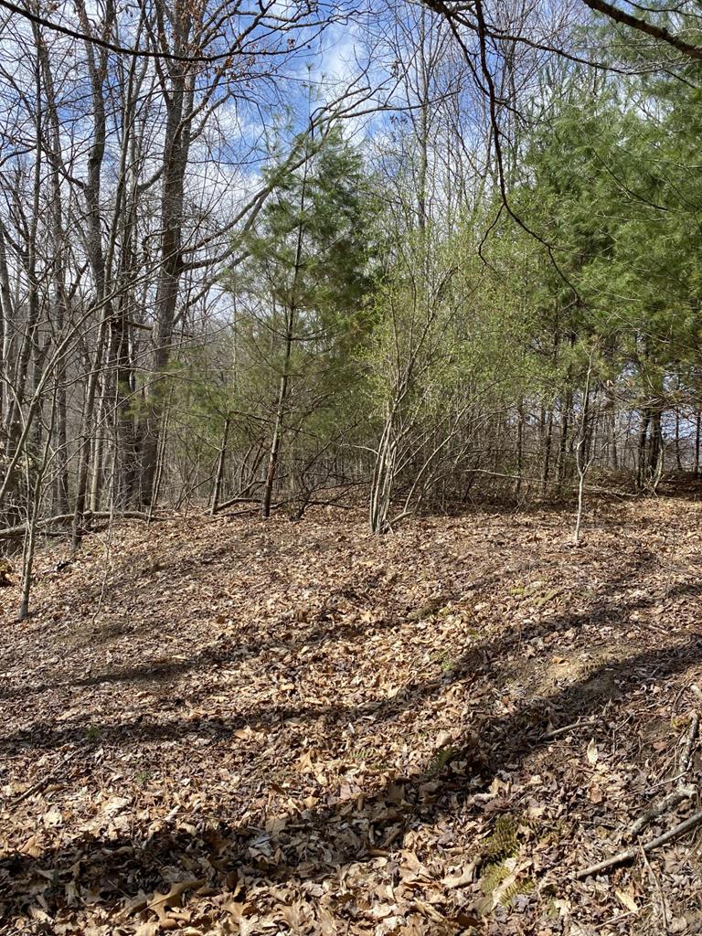 161 Daniels Road Bandy, VA 24602 - Photo 7 of 7 Gallery Image 7