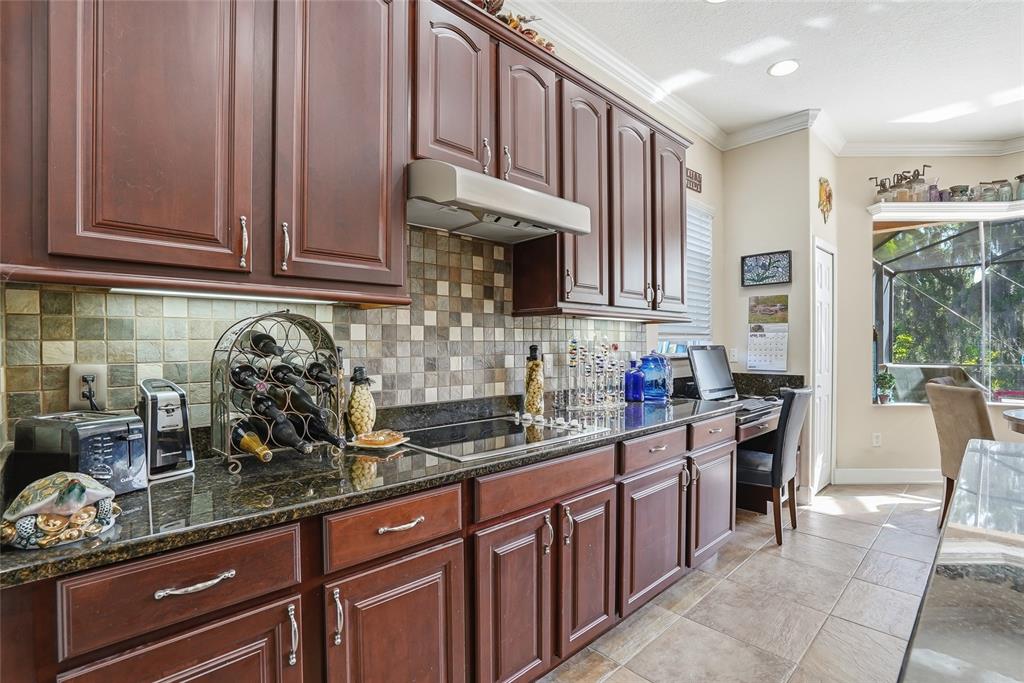 11403 Biddeford Place New Port Richey, FL 34654 - Photo 17 of 78