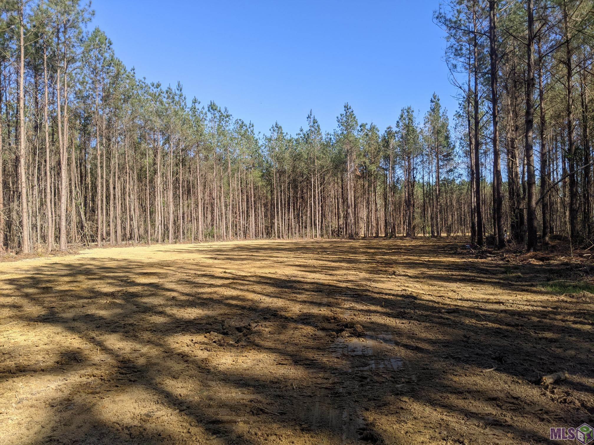 39798 Sand Hill Road Walker, LA 70785 - Photo 1 of 3