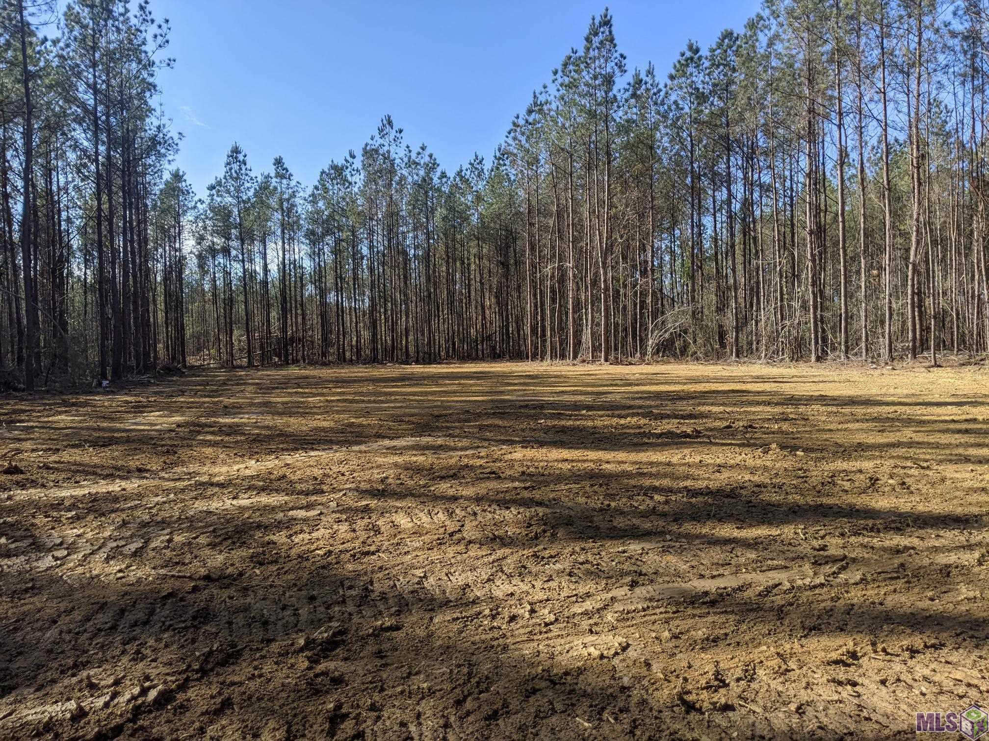 39798 Sand Hill Road Walker, LA 70785 - Photo 2 of 3