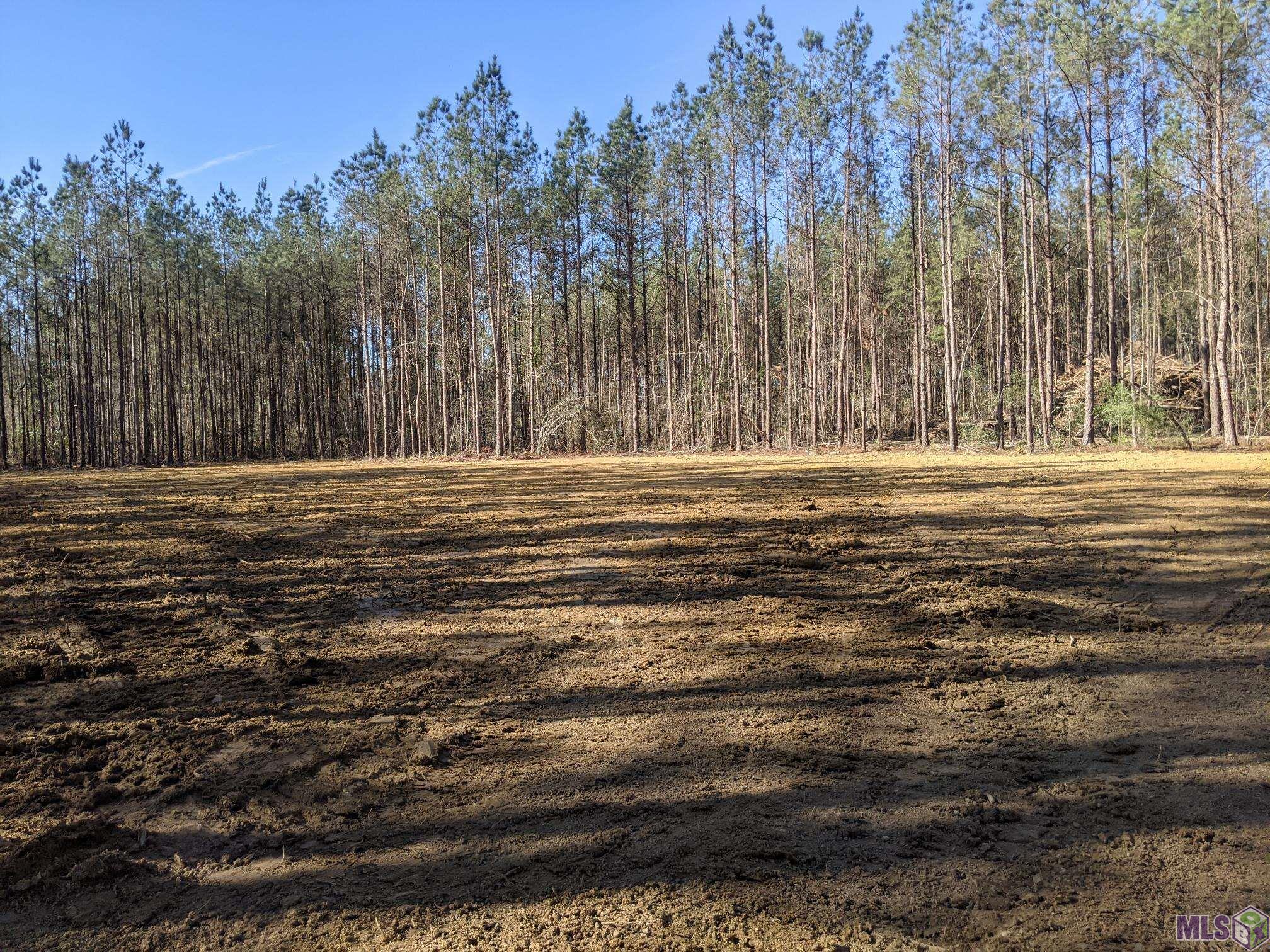 39798 Sand Hill Road Walker, LA 70785 - Photo 3 of 3