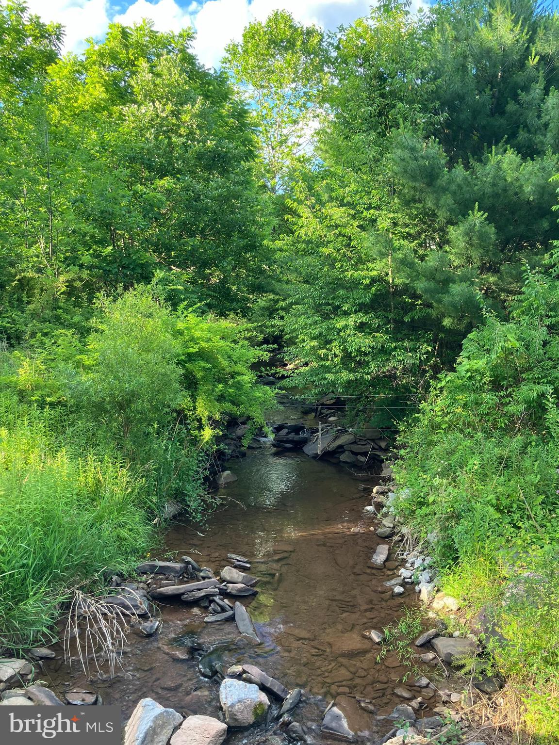 198 Gum Stump Road Bellefonte, PA 16823 - Photo 11 of 39
