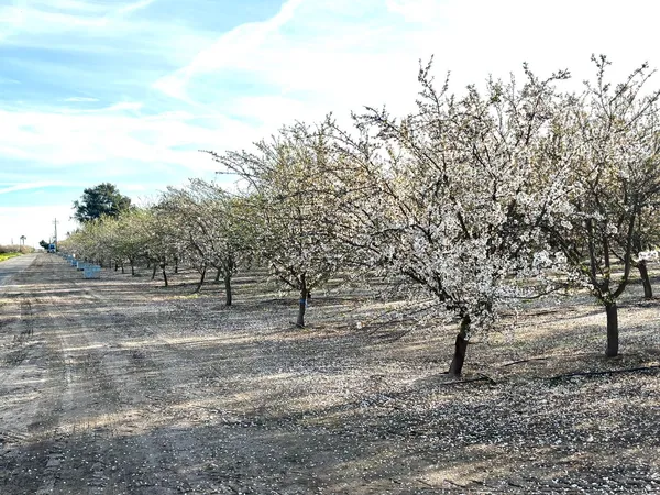 $1,445,000 | 16722 Road 18, Madera, CA 93637