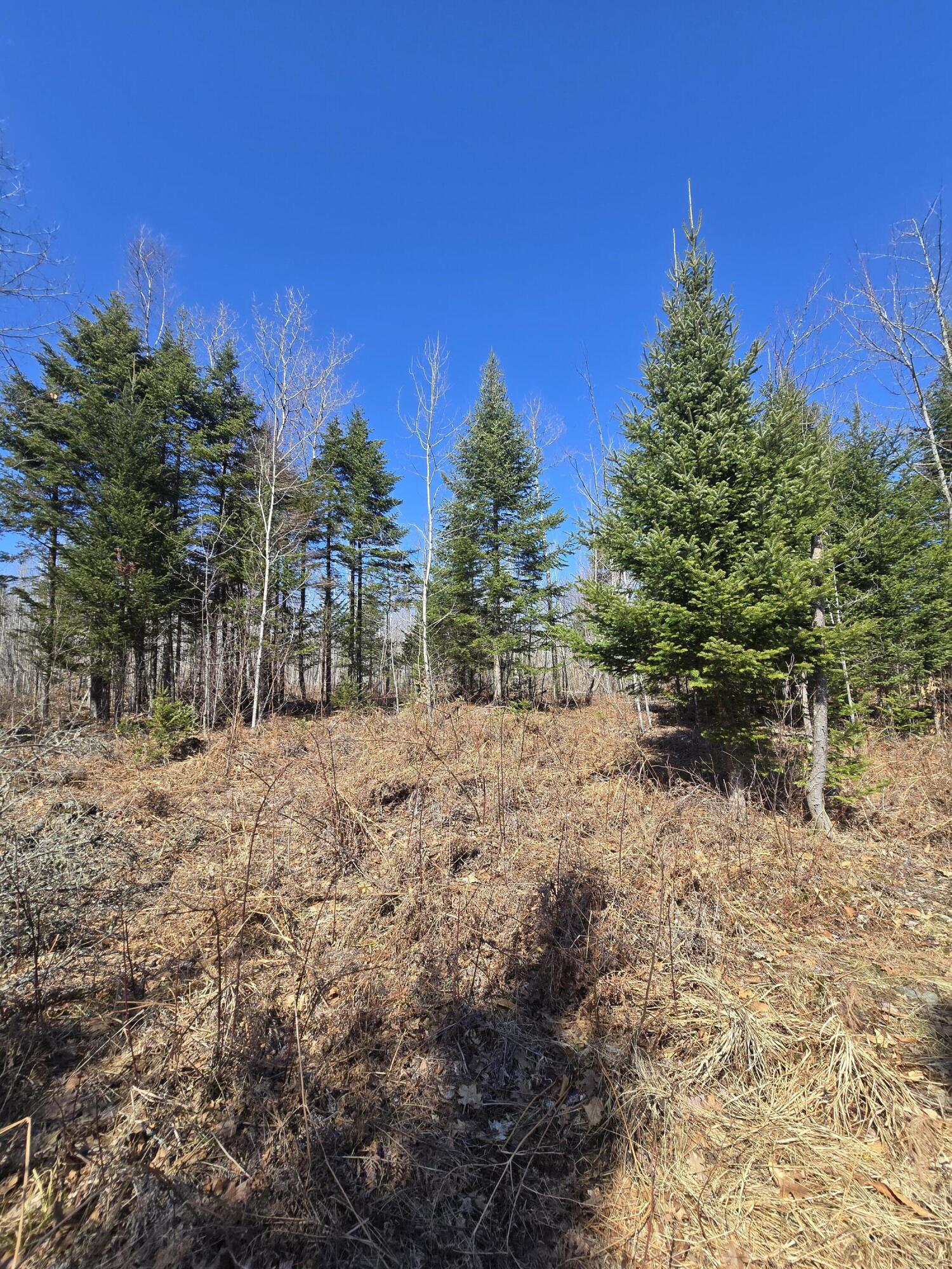 0 Chadbourne Road Harmony, ME 04942 - Photo 2 of 22 20260408_140039