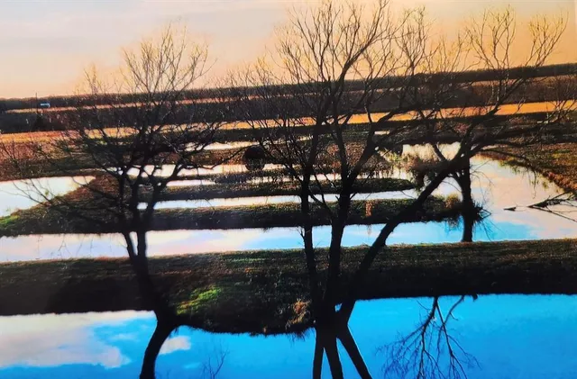 a view of swimming pool from a balcony