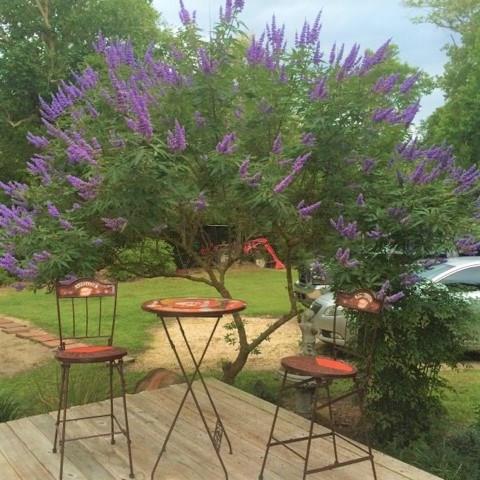 11150 Breaux Road Independence, LA 70443 - Photo 21 of 23 Gallery Image 21