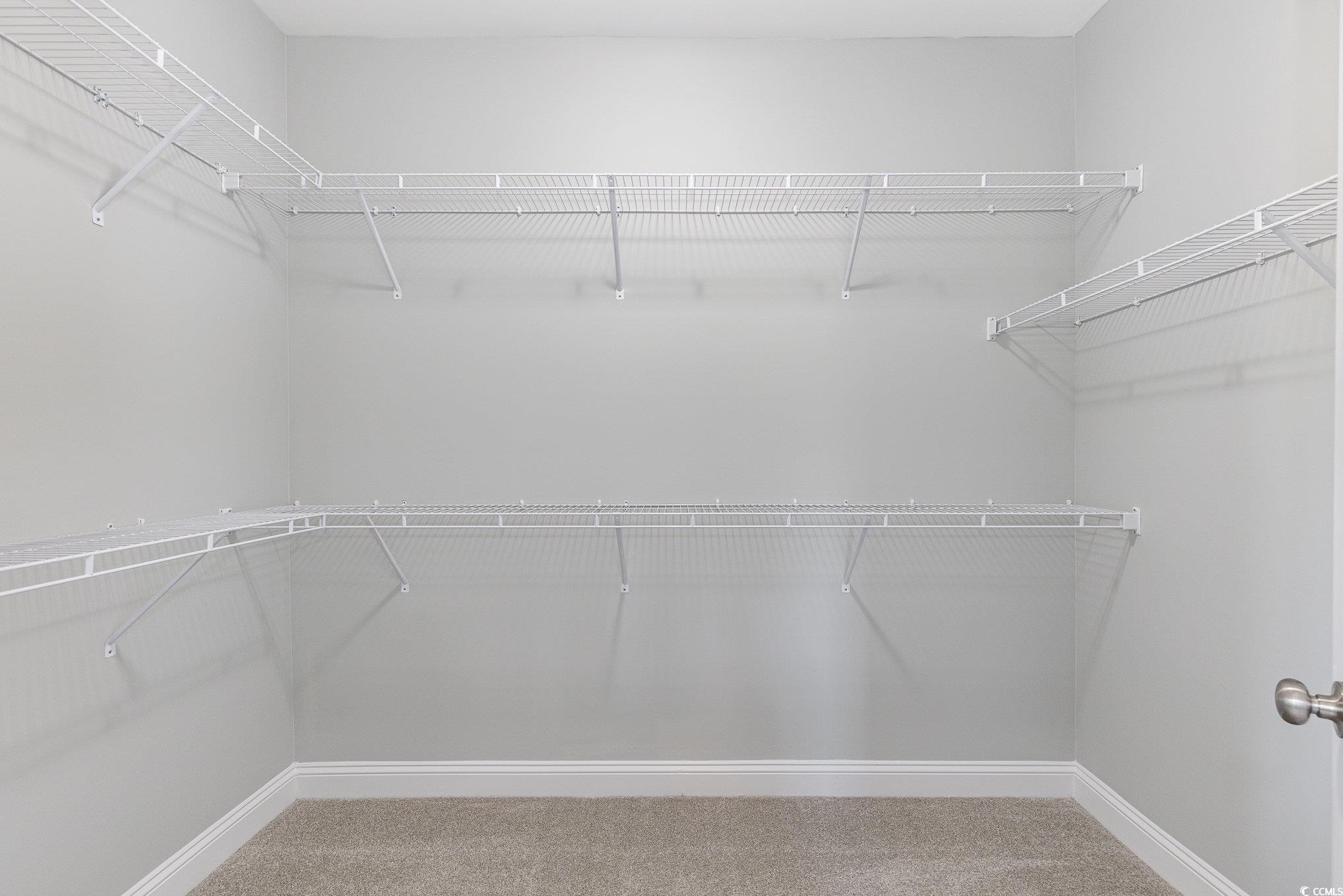 363 Log Cabin Road Loris, SC 29569 - Photo 21 of 30 Walk in closet featuring carpet