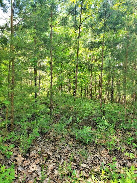 1126 Panda Drive Ranger, GA 30734 - Photo 1 of 1