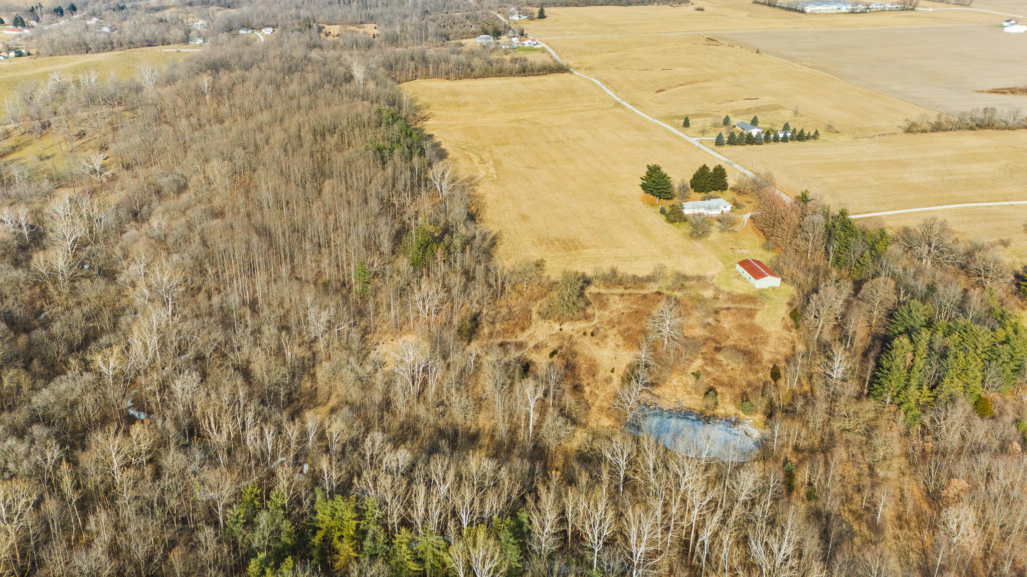 10999 Morrison-Mikesell Road New Paris, OH 45347 - Photo 17 of 51 DJI_20260123143825_0735_D