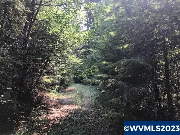 $459,000 | 0 Nfd 305 Road, Sweet Home, OR 97386