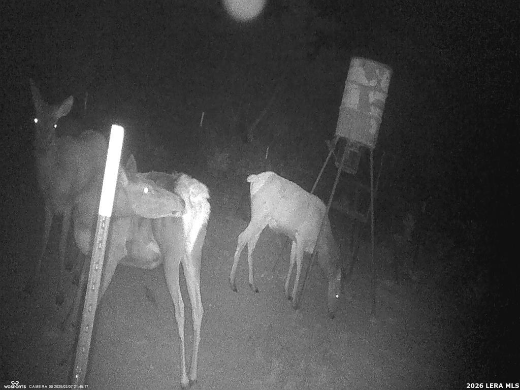 204 Wilson Rand Road Hunt, TX 78024 - Photo 26 of 46