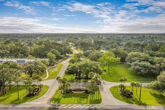 a view of a park with large trees