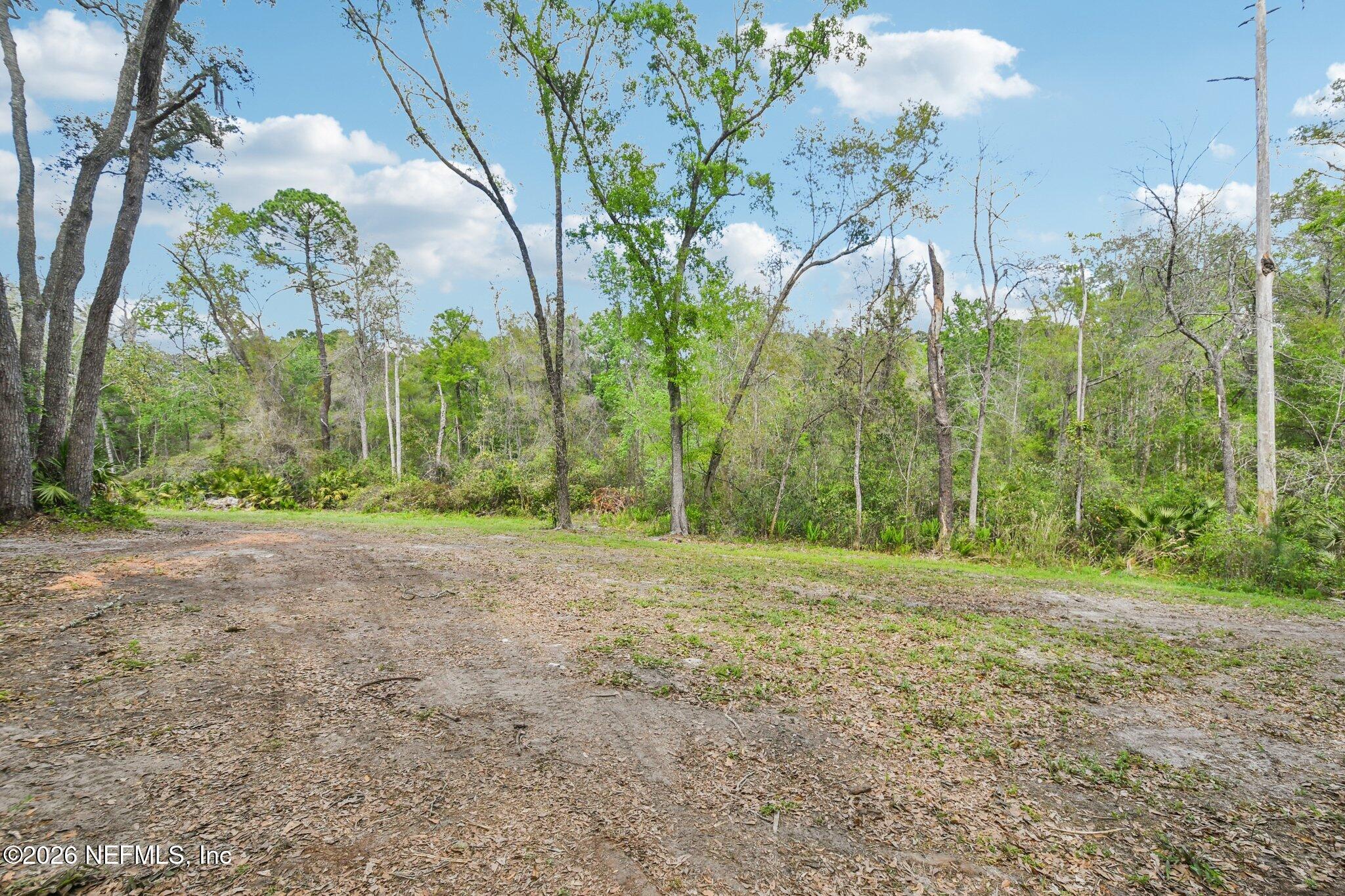 2001 Liberty Way Middleburg, FL 32068 - Photo 53 of 77 60-web-or-mls-Liberty Way-S2803-060