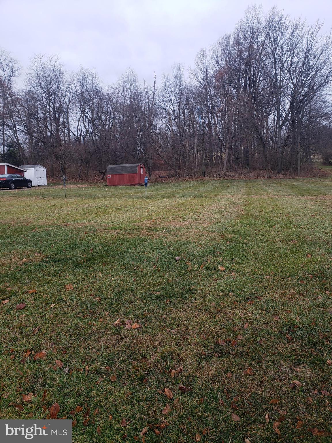 14628 Roddy Road Thurmont, MD 21788 - Photo 6 of 19 Lot goes back into woods