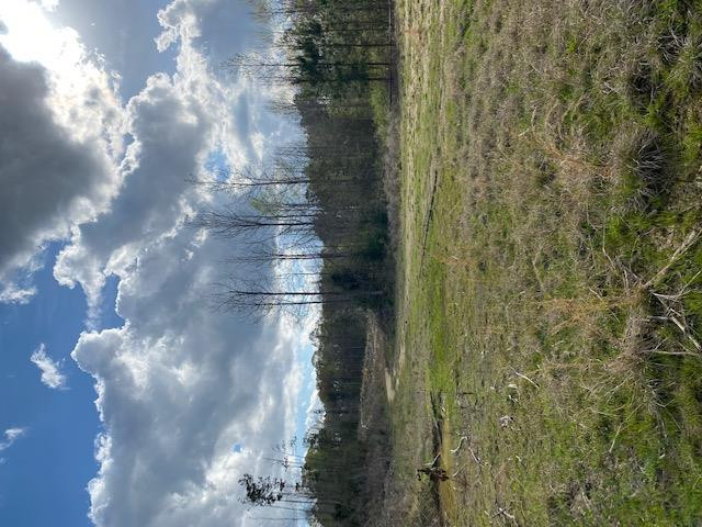 0 Macedonia Road Crosby, MS 39633 - Photo 21 of 29 Photo 21