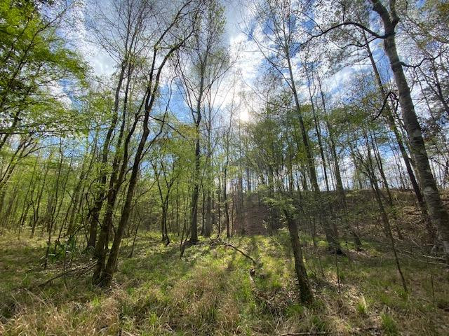 0 Macedonia Road Crosby, MS 39633 - Photo 23 of 29 Photo 23
