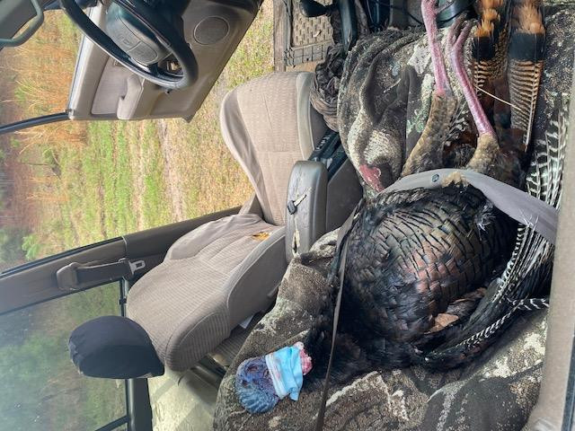 0 Macedonia Road Crosby, MS 39633 - Photo 26 of 29 Photo 26
