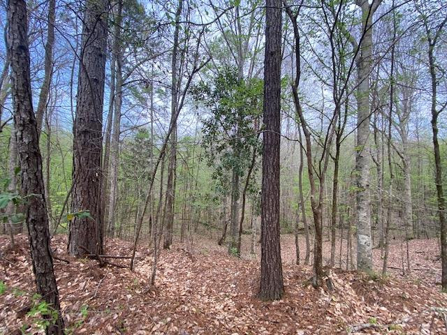 0 Macedonia Road Crosby, MS 39633 - Photo 27 of 29 Photo 27