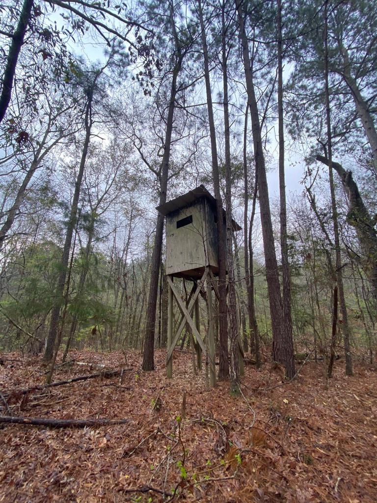 0 Macedonia Road Crosby, MS 39633 - Photo 3 of 29 Photo 3