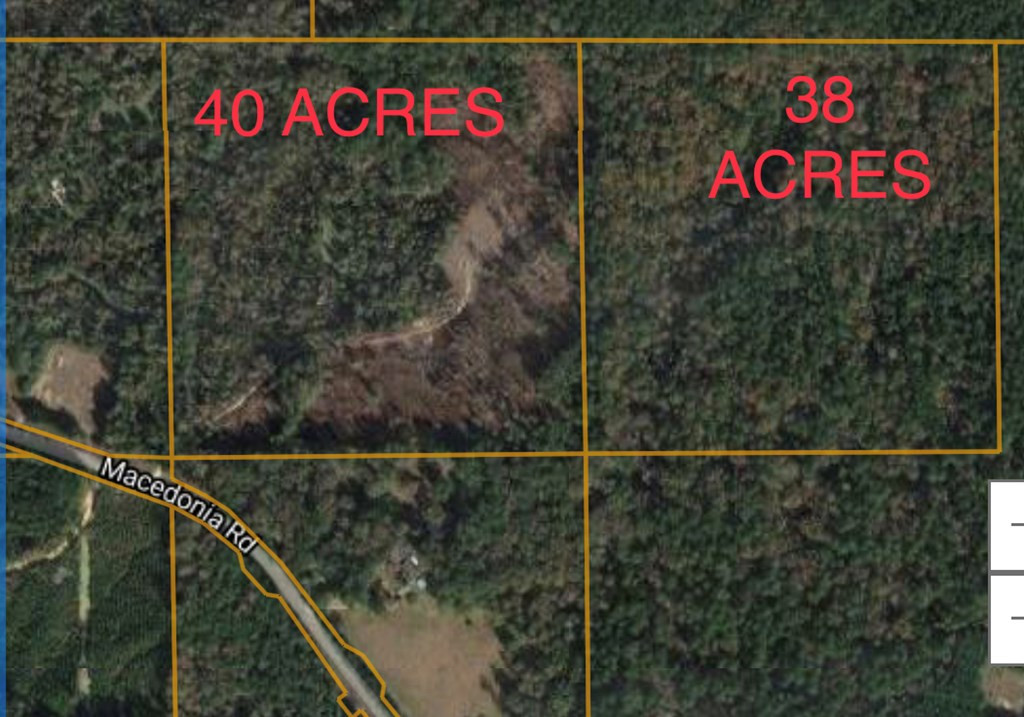 0 Macedonia Road Crosby, MS 39633 - Photo 6 of 29 Photo 6