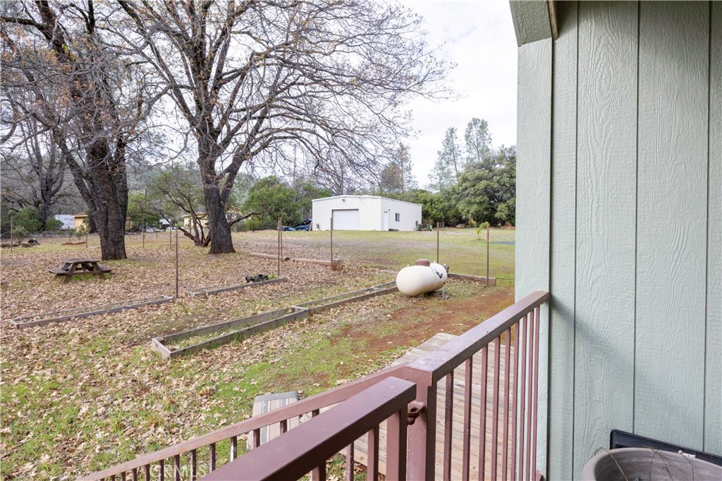 18501 Rustic Ridge Lower Lake, CA 95457 - Photo 37 of 46 a view of a backyard and a trees