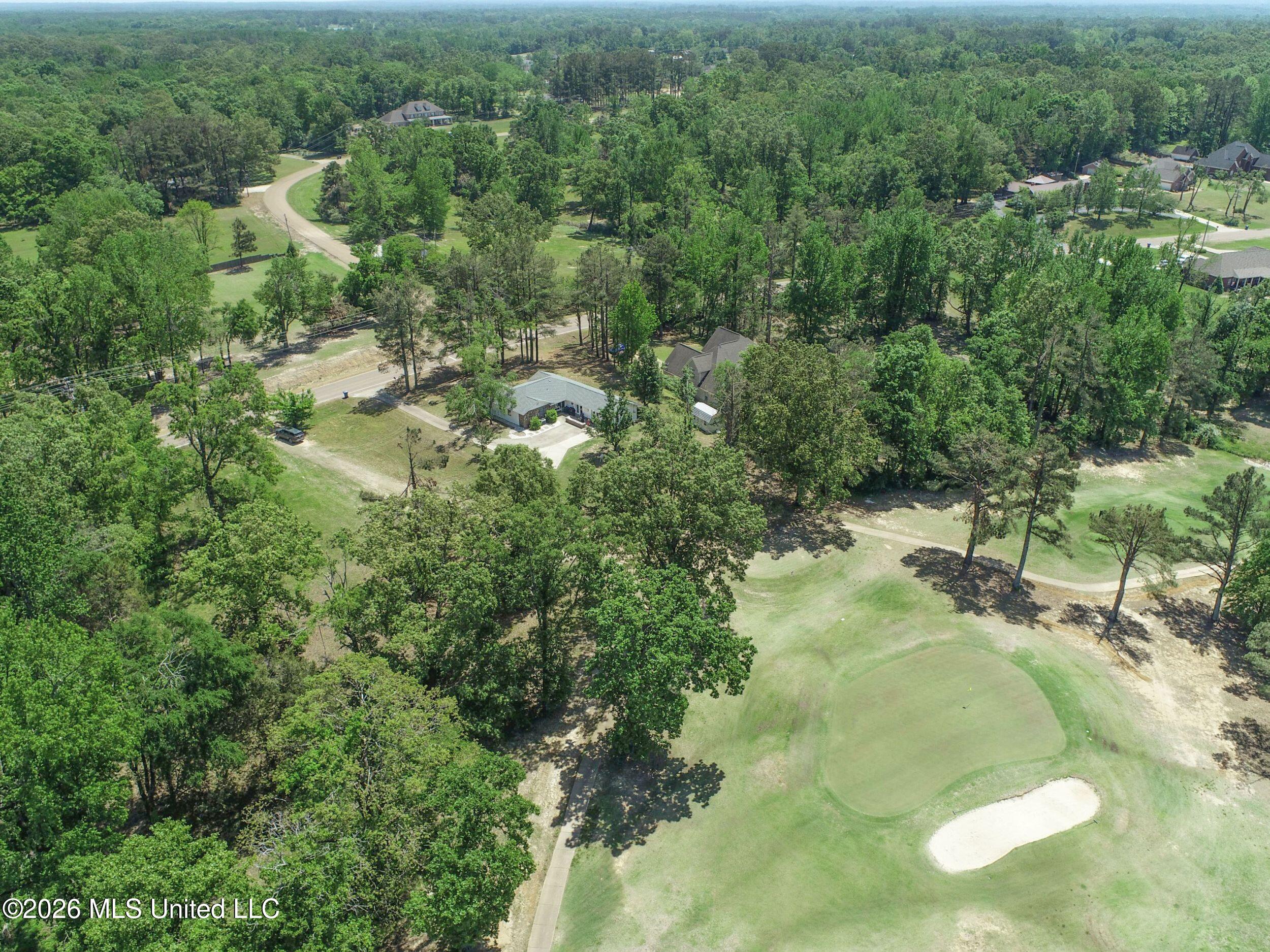 415 Woodland Road Batesville, MS 38606 - Photo 7 of 113 2rlawk6