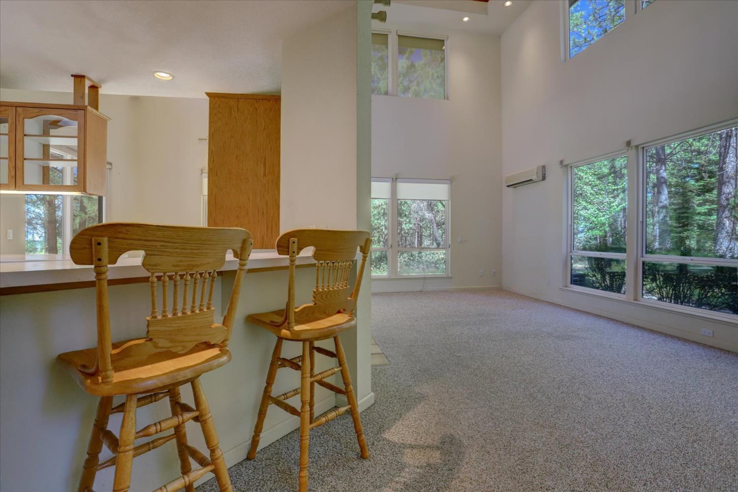 16934 Indian Flat Road Nevada City, CA 95959 - Photo 12 of 94