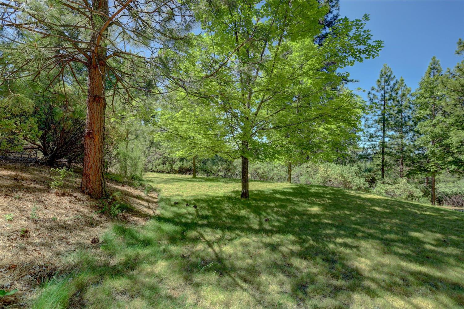 16934 Indian Flat Road Nevada City, CA 95959 - Photo 5 of 94