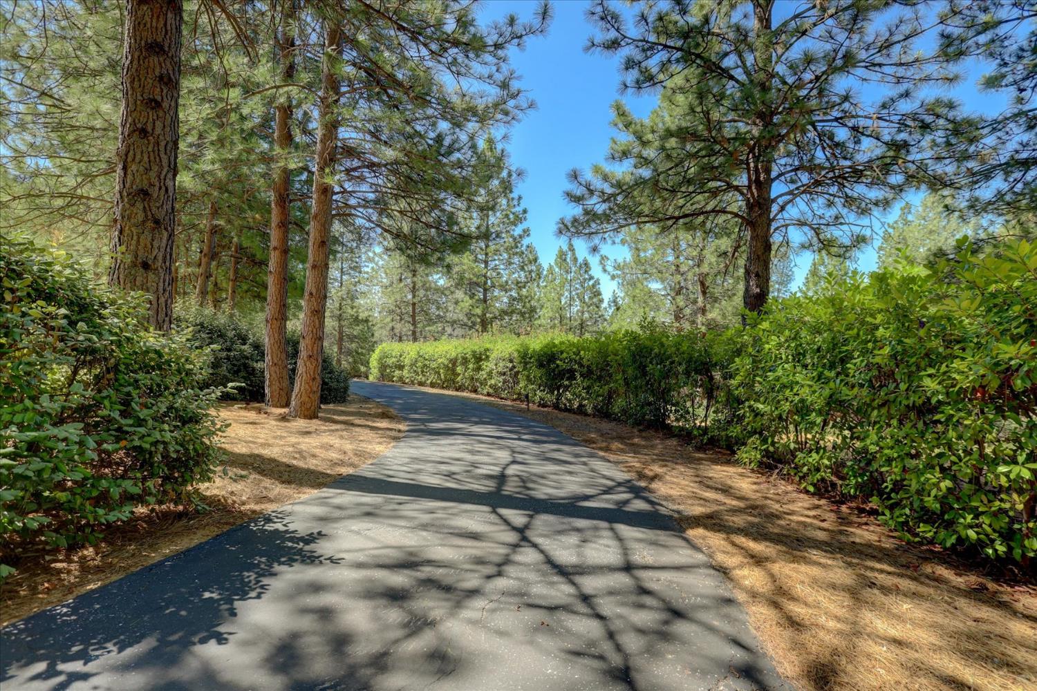 16934 Indian Flat Road Nevada City, CA 95959 - Photo 61 of 94