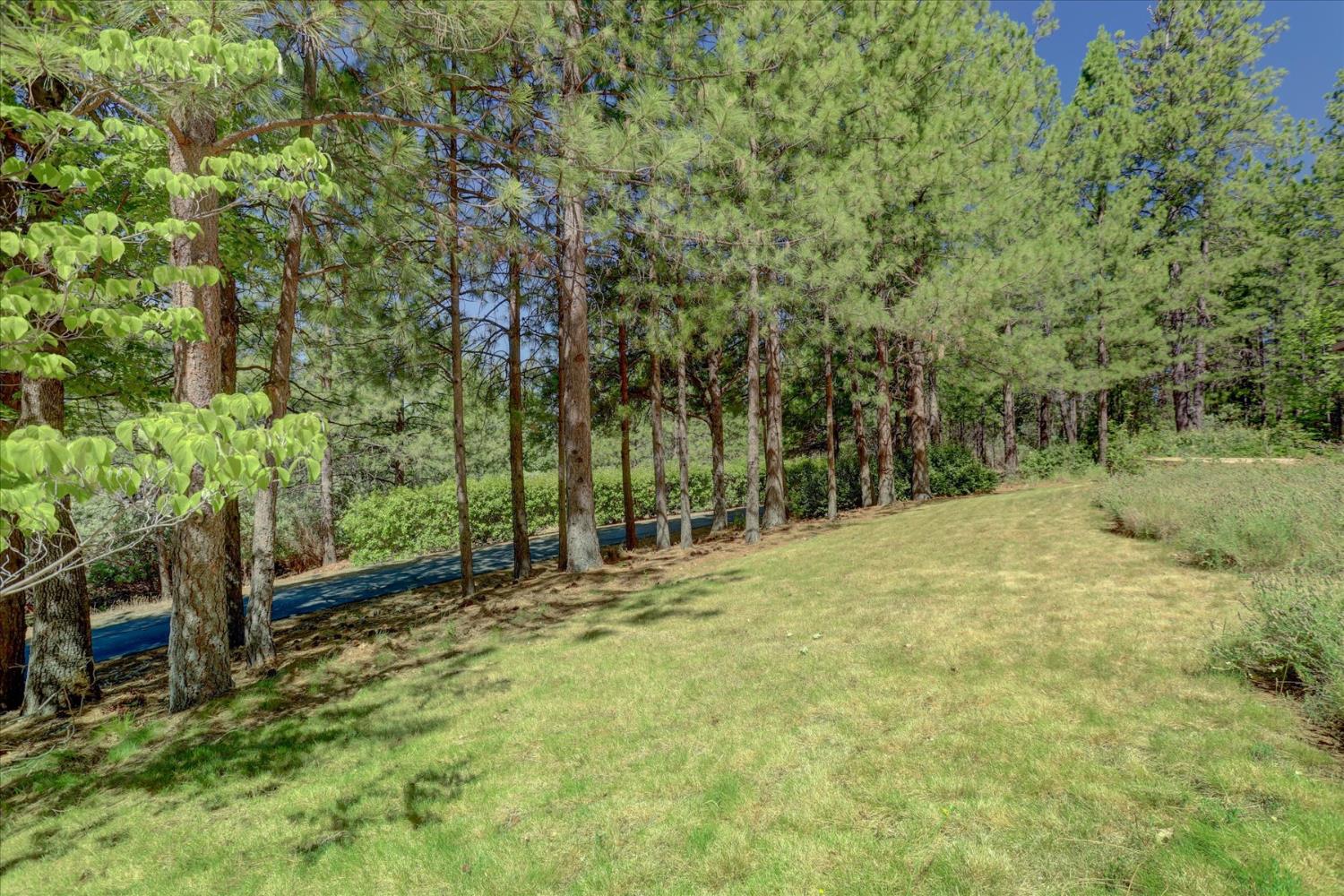 16934 Indian Flat Road Nevada City, CA 95959 - Photo 65 of 94