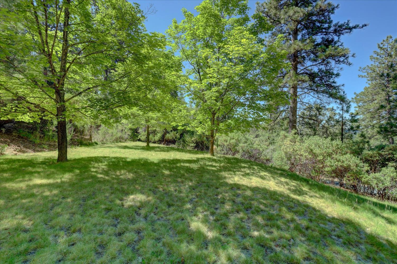 16934 Indian Flat Road Nevada City, CA 95959 - Photo 66 of 94