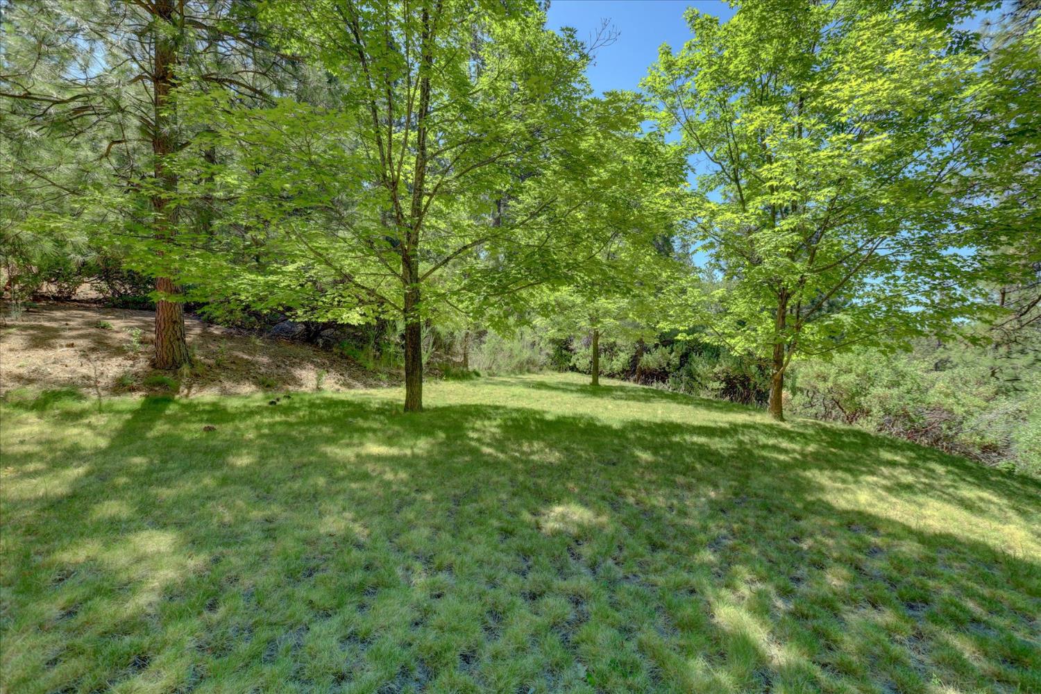 16934 Indian Flat Road Nevada City, CA 95959 - Photo 67 of 94
