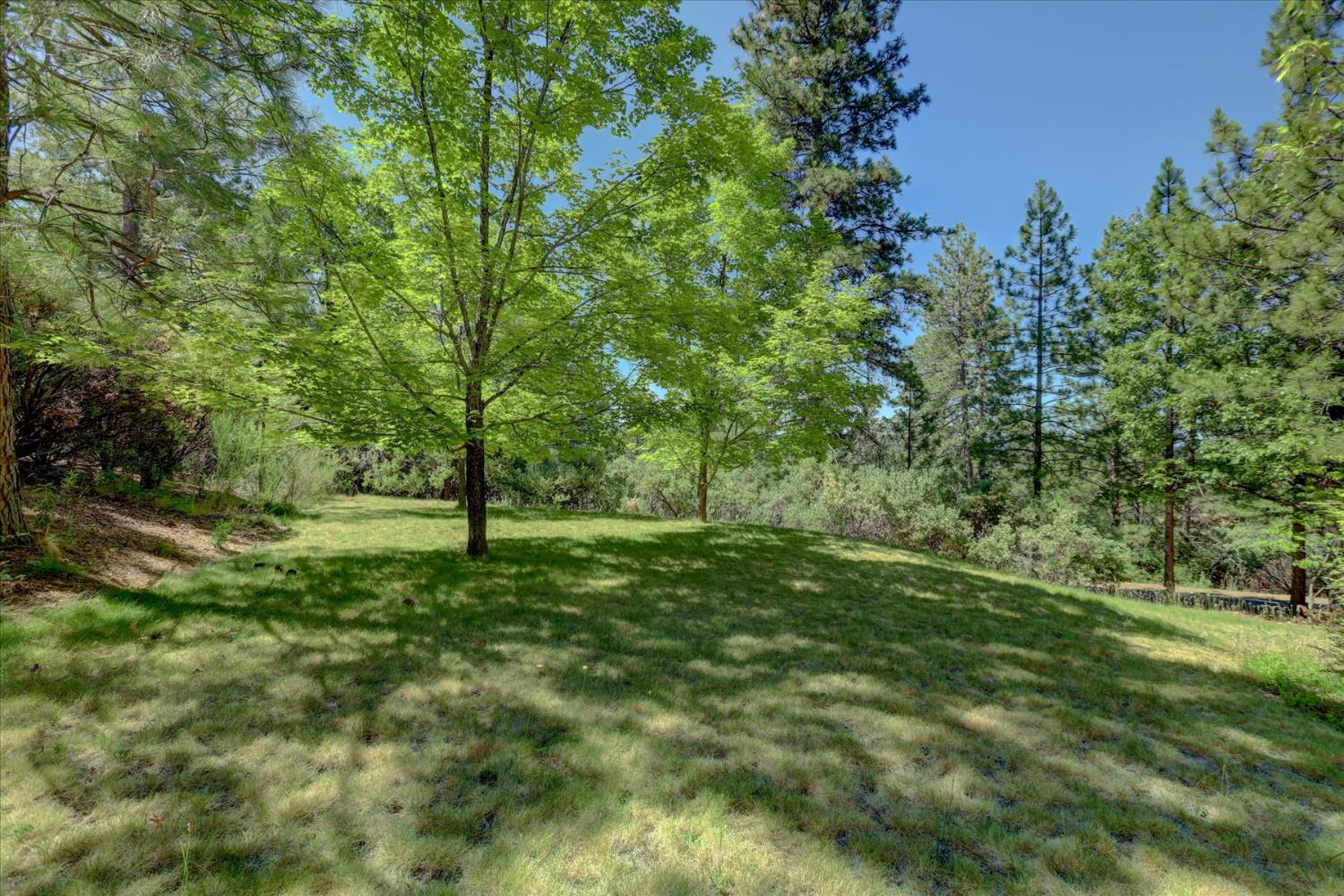 16934 Indian Flat Road Nevada City, CA 95959 - Photo 68 of 94