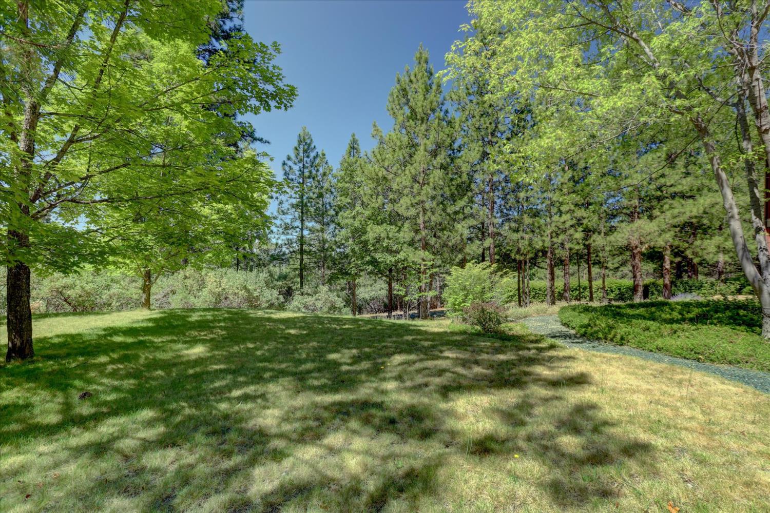 16934 Indian Flat Road Nevada City, CA 95959 - Photo 69 of 94