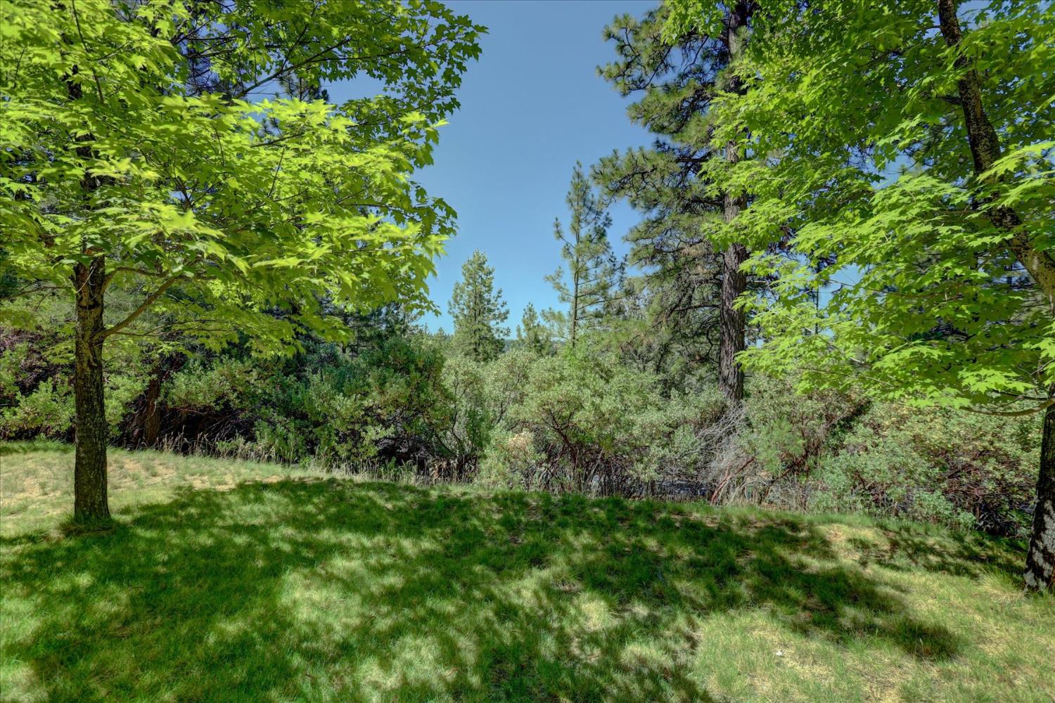16934 Indian Flat Road Nevada City, CA 95959 - Photo 70 of 94