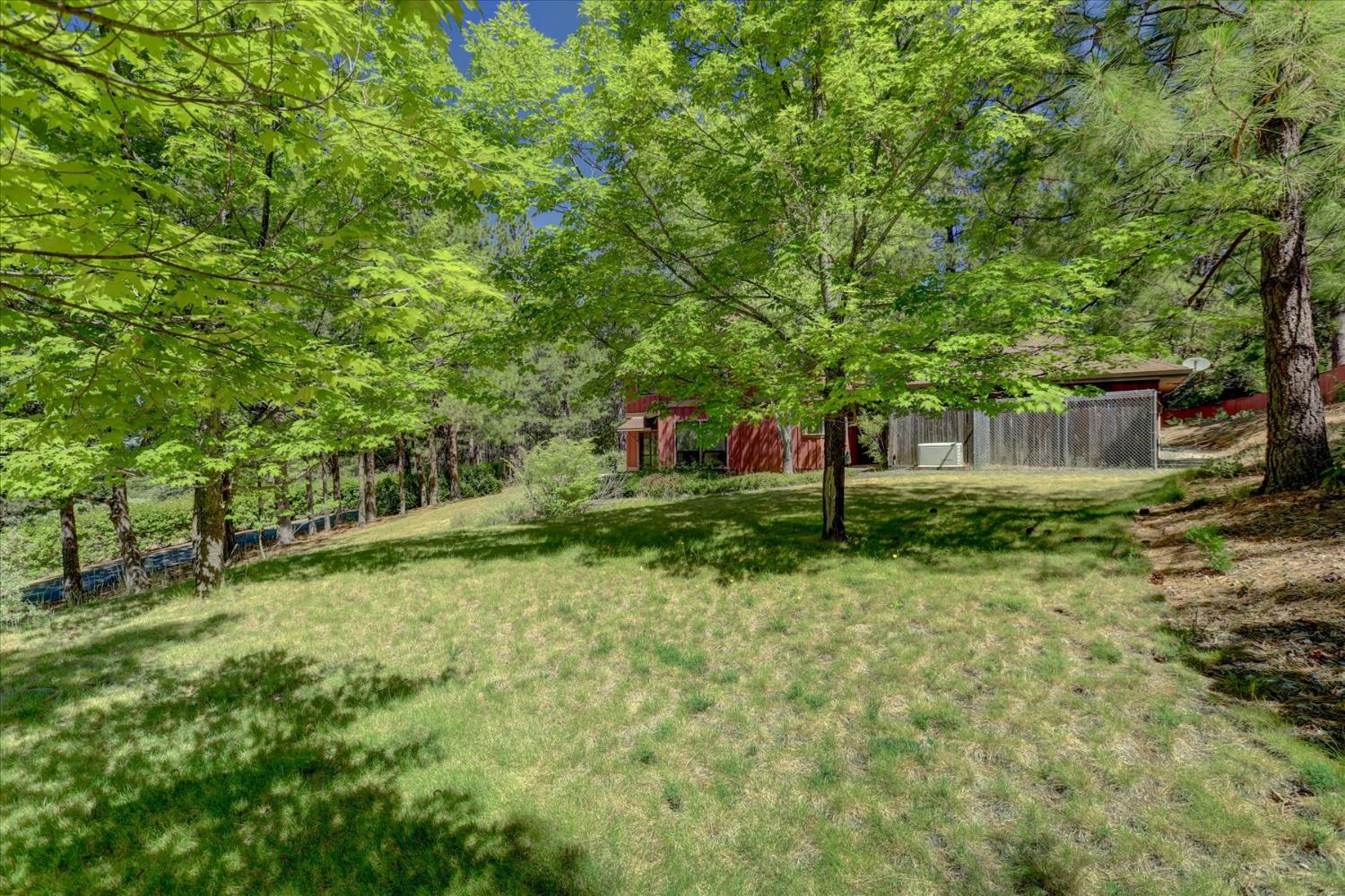16934 Indian Flat Road Nevada City, CA 95959 - Photo 71 of 94