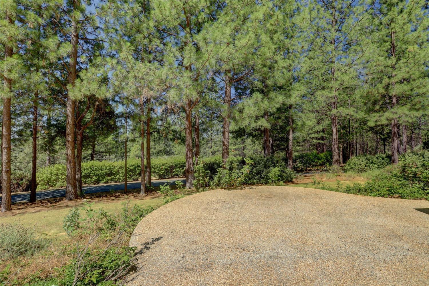 16934 Indian Flat Road Nevada City, CA 95959 - Photo 77 of 94
