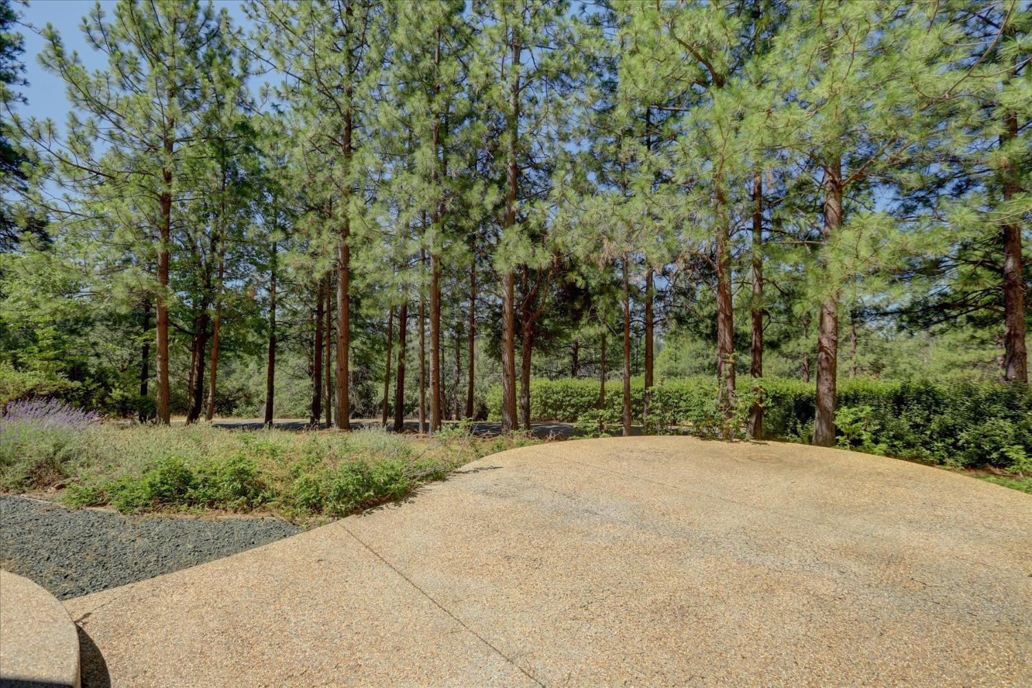 16934 Indian Flat Road Nevada City, CA 95959 - Photo 78 of 94