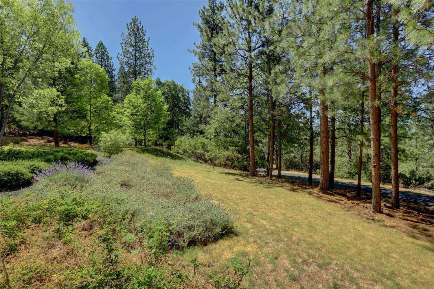 16934 Indian Flat Road Nevada City, CA 95959 - Photo 80 of 94