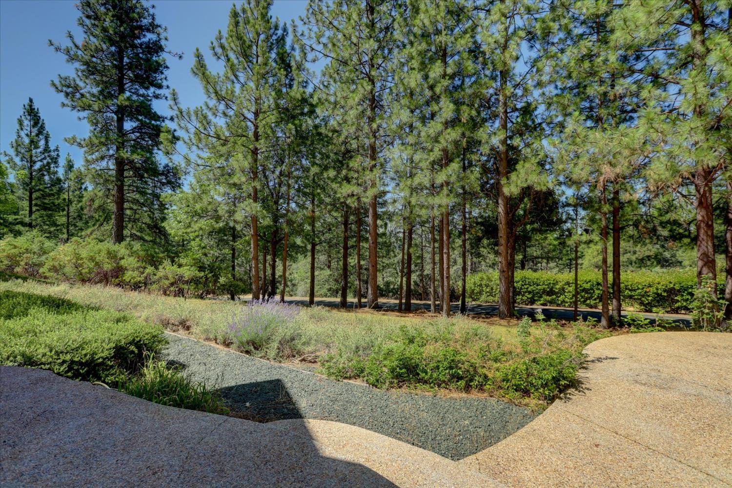 16934 Indian Flat Road Nevada City, CA 95959 - Photo 83 of 94