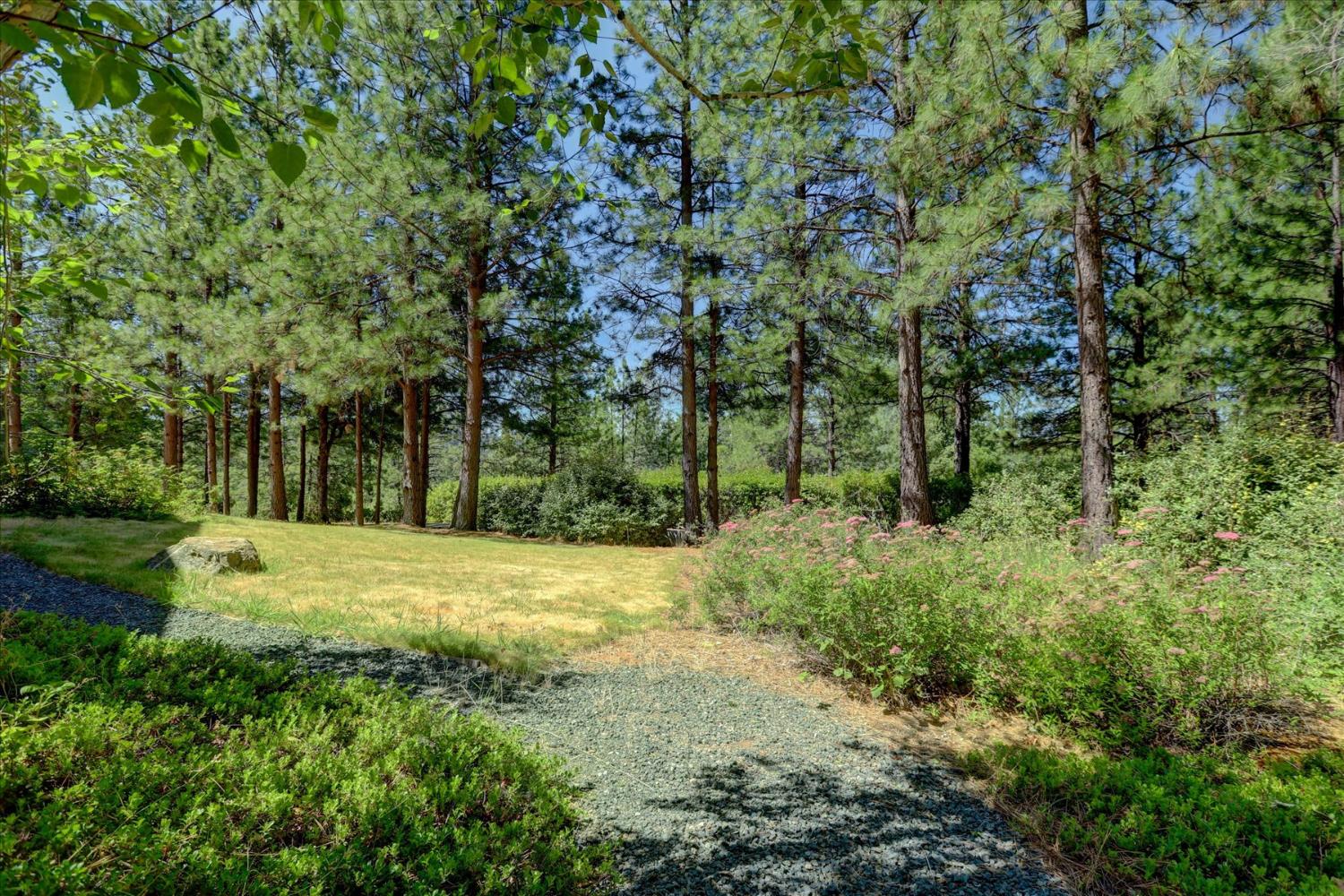 16934 Indian Flat Road Nevada City, CA 95959 - Photo 84 of 94