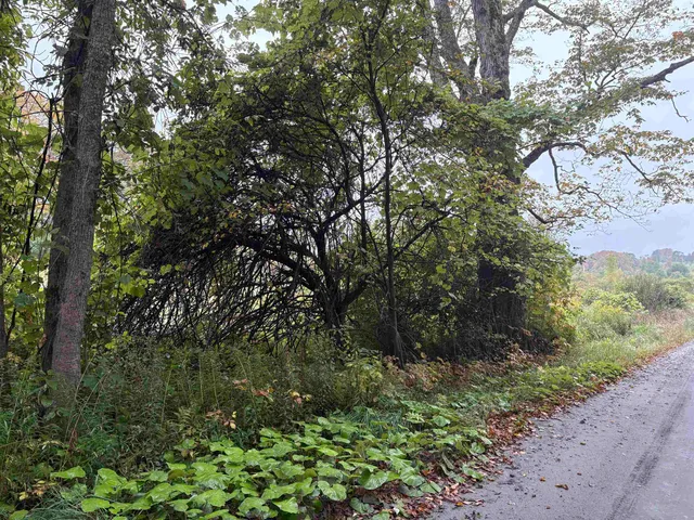 $62,000 | 0 West Street, Brookfield, VT 05036