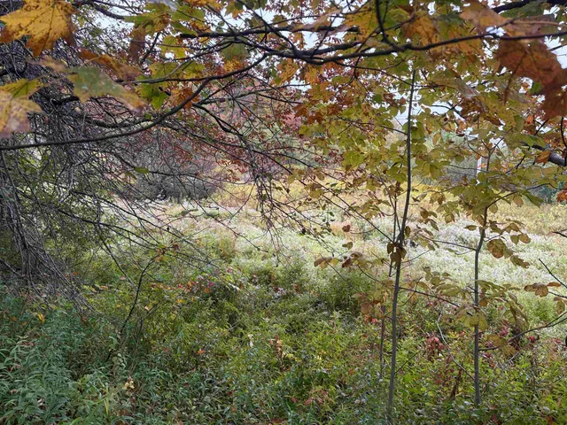 $62,000 | 0 West Street, Brookfield, VT 05036