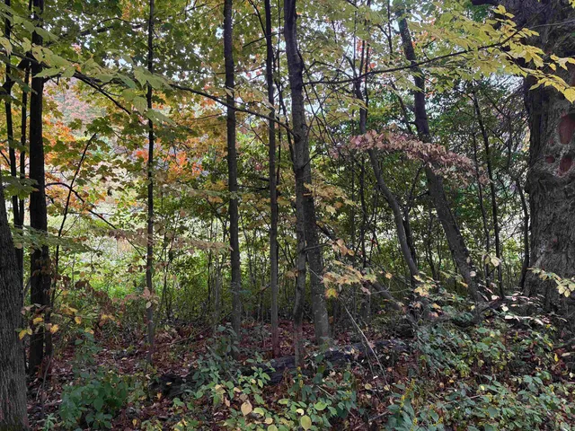 $62,000 | 0 West Street, Brookfield, VT 05036