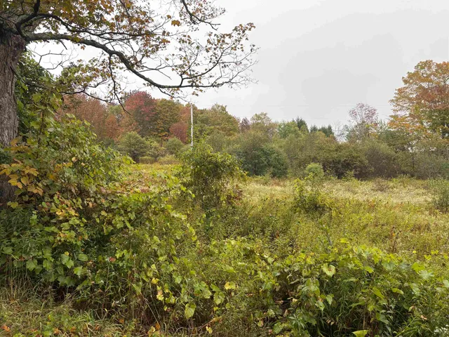 $62,000 | 0 West Street, Brookfield, VT 05036