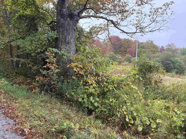 $62,000 | 0 West Street, Brookfield, VT 05036