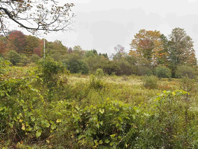 $62,000 | 0 West Street, Brookfield, VT 05036